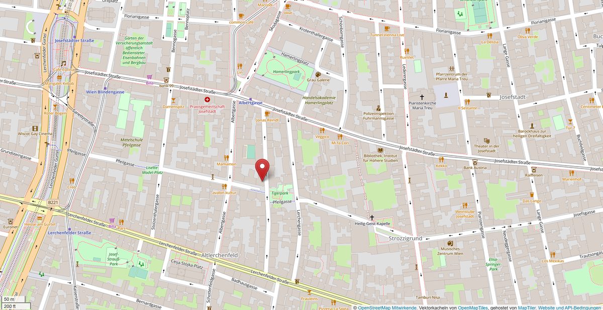 Tigergasse 19/10, Zweiter Stock, 1080 Wien